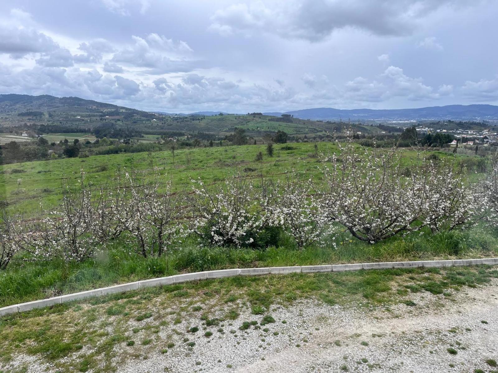 הוילה קוביליה Tranca Da Barriga - Casa Do Vinho By Quinta De Sao Tiago מראה חיצוני תמונה